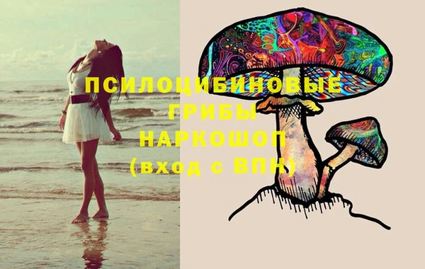 мдма Заволжск