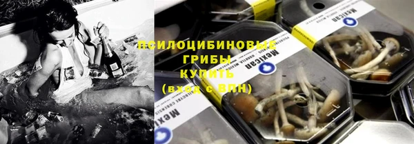 не бодяженный Ельня